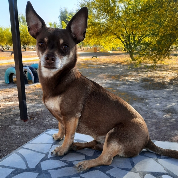 Meet your Posher, Judy - Picture 12 of 12